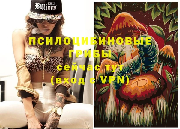 ПСИЛОЦИБИНОВЫЕ ГРИБЫ Навашино