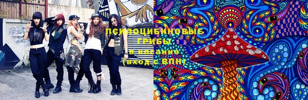 винт Михайловка