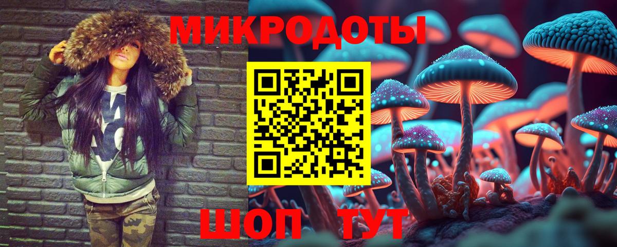 Псилоцибиновые грибы Psilocybe  Мегион  Псилоцибиновые грибы Psilocybine cubensis 