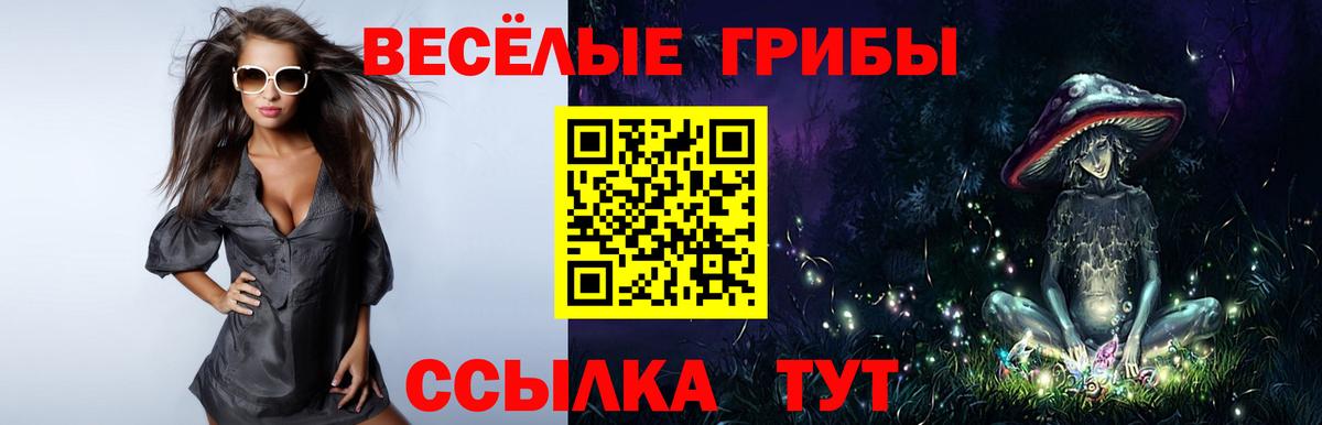 Галлюциногенные грибы Cubensis Мегион