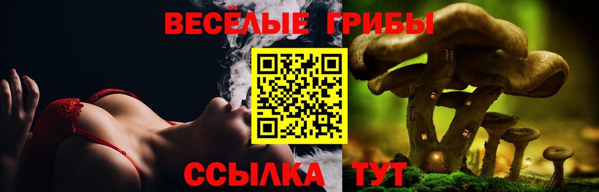 Мегион  Псилоцибиновые грибы Magic Shrooms  Вход с VPN 